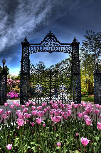 PublicGardens Halifax NS Canada.jpg