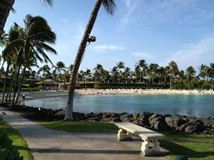 Image result for fairmont orchid photos