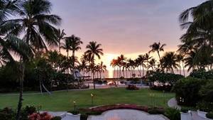 Image result for fairmont orchid photos