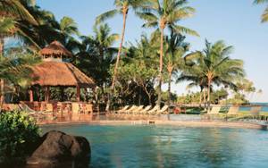 Image result for fairmont orchid photos